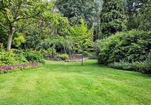 Optimiser l'expérience du jardin à Celles-en-Bassigny